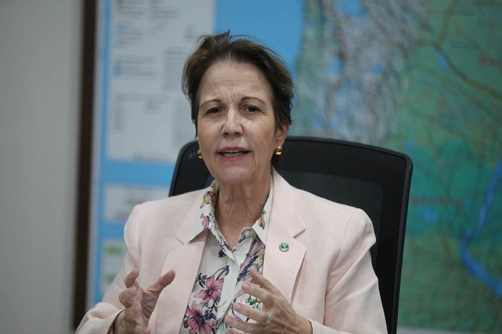 Indiciamento de Bolsonaro fortalece o nome de Tereza Cristina e de outras lideranças.