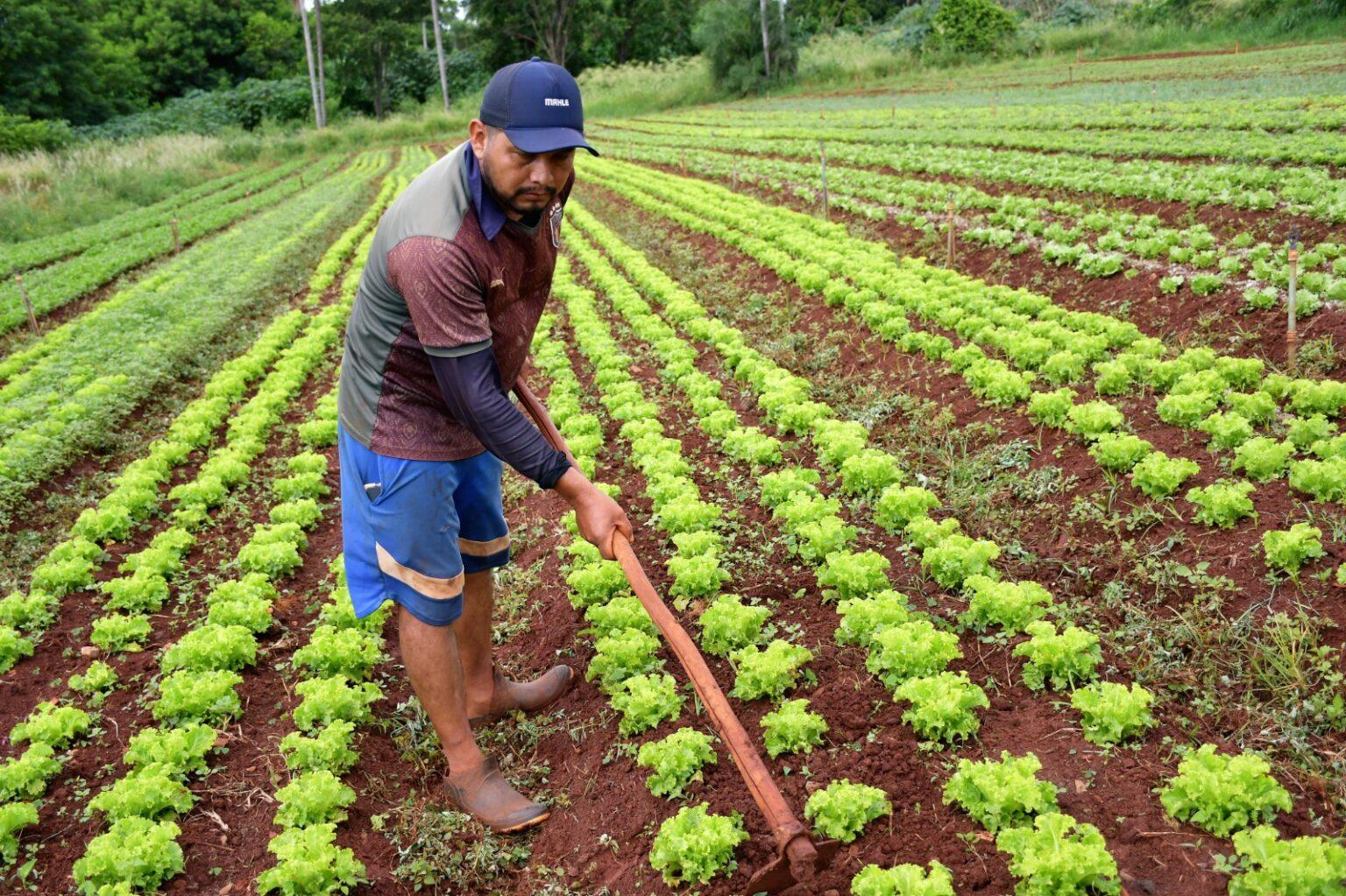 Campo Grande apresenta Hortas Urbanas e App de Conexão Produtor-Consumidor à Cônsul da Alemanha.