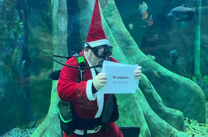 Com Papai Noel mergulhador, Bioparque Pantanal anuncia programação especial de dezembro.