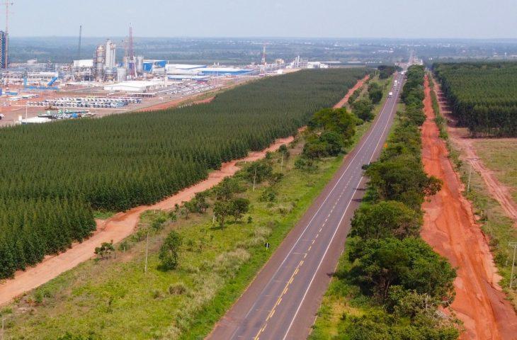 Com projeto robusto, Rota da Celulose tem expectativa de voltar ao mercado no primeiro trimestre de 2025.
