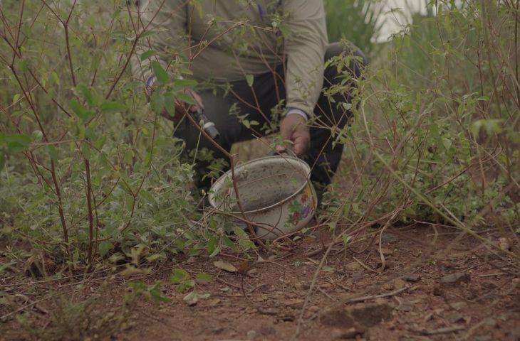 Mato Grosso do Sul avança no combate às arboviroses e projeta 7,6 milhões de visitas em 2025.