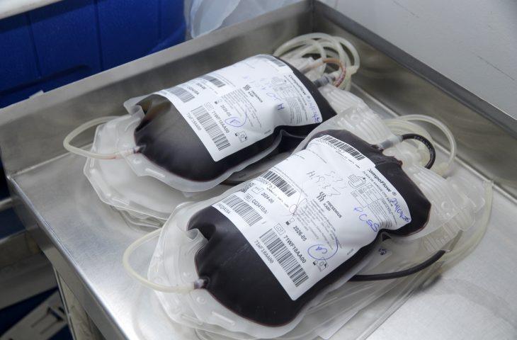 Esperança em forma de bolsas de sangue: servidores se unem à corrente de solidariedade por Cecília.