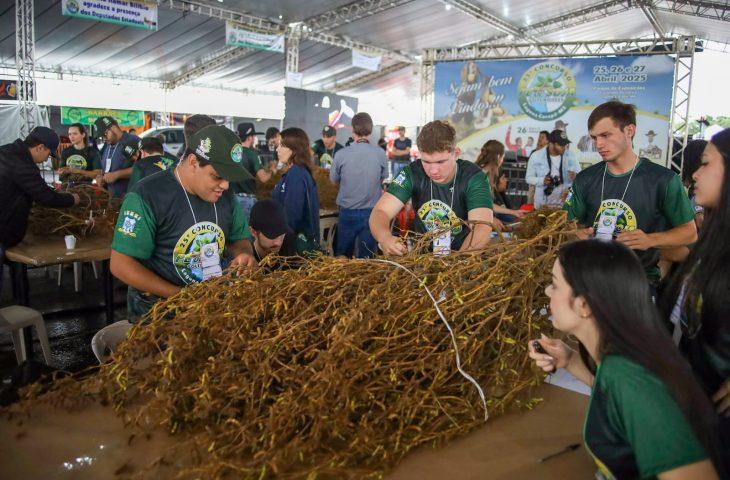 Laguna Carapã realiza o 25º Concurso Pé de Soja e comemora investimentos em infraestrutura.