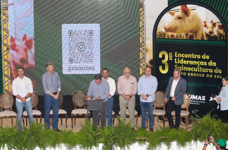 Modernização do programa Leitão Vida fortalece a competitividade da cadeia produtiva de MS.