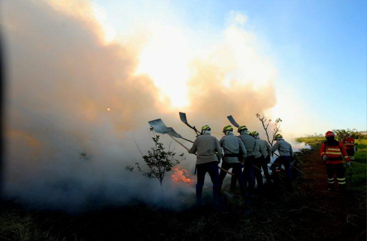 Prevenção aos incêndios: Governo de MS vai antecipar cronograma e lançar PSA Brigadas já em abril.
