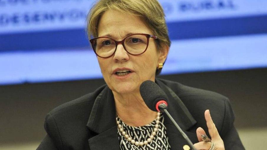 Senadora campo-grandense reforça que medida era estudada há mais de um ano e não mira uma única resposta em retaliação ao presidente dos Estados Unidos.