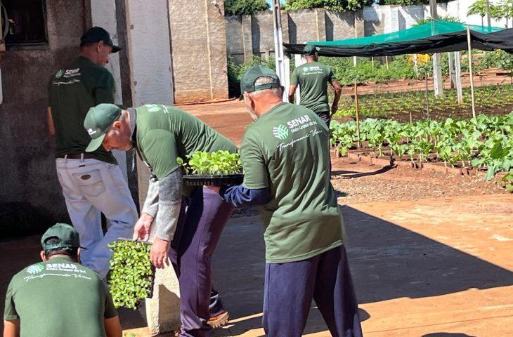 Capacitação em horticultura no presídio de Caarapó impulsiona geração de alimentos para instituições assistenciais.