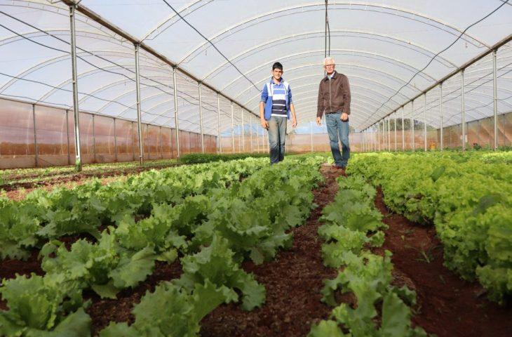 Trabalho em equipe da Agraer inspira criação de aplicativo nacional do Crédito Fundiário.