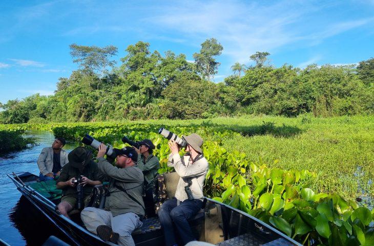 Famtour internacional destaca o Pantanal de MS como destino estratégico para observação de aves.
