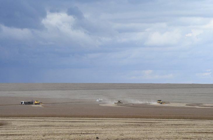 Motor de MS: agronegócio deve puxar PIB do Estado, com previsão de crescer 5,5% neste ano.