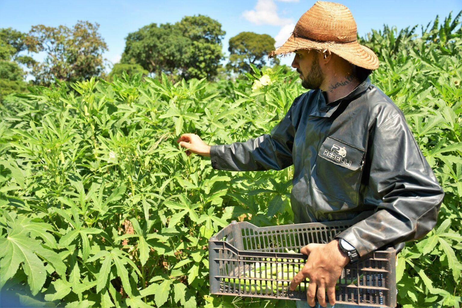 Campo Grande cria Selo da Agricultura Familiar para valorizar produção local.