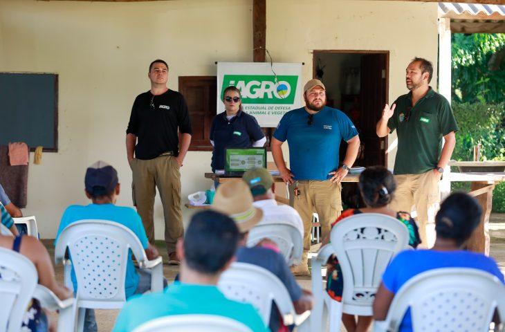 Consulta pública da Iagro propõe medidas para garantir sanidade avícola durante exposições e feiras.