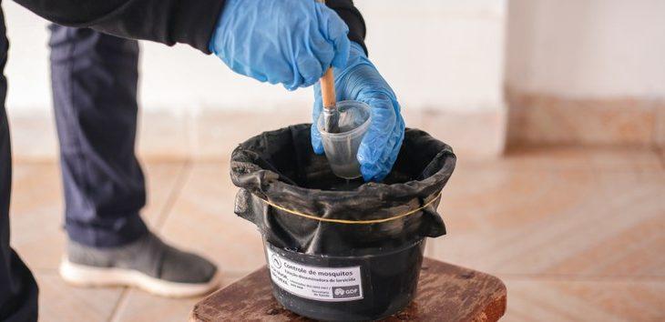 SES promove capacitação para expandir armadilhas de vigilância contra o Aedes aegypti e albopictus.