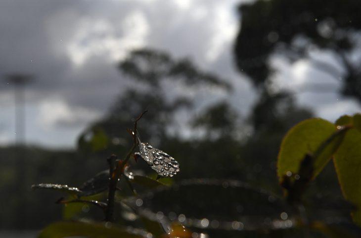 Frente fria avança sobre MS e provoca mudança no tempo com possibilidade de chuvas e queda nas temperaturas.