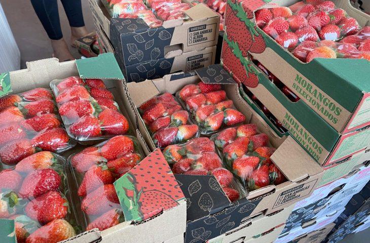 Preço do morango volta a cair, enquanto cenoura tem alta de preço na Ceasa de MS.