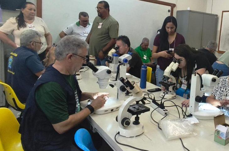 Coleta de vetores, testagem e alinhamento técnico: Saúde de MS antecipa combate à Febre Oropouche.