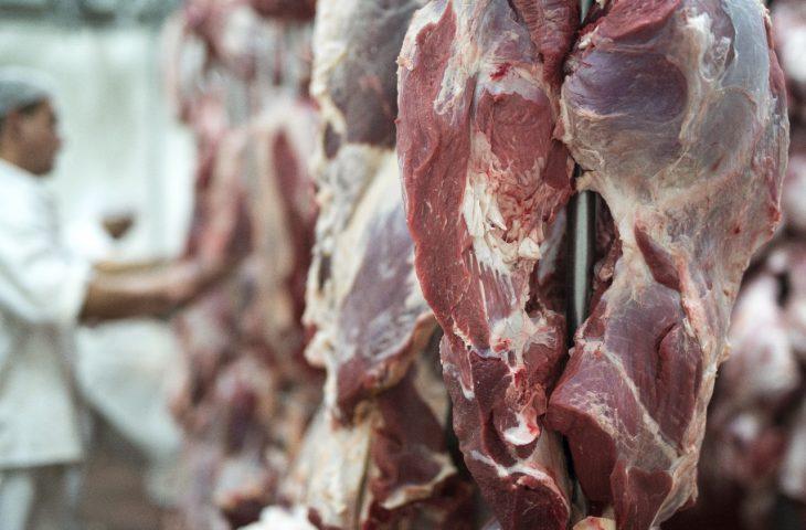 Exportações de MS somam US$ 7,24 bilhões até agosto e carne bovina cresce 43,7% no acumulado do ano.