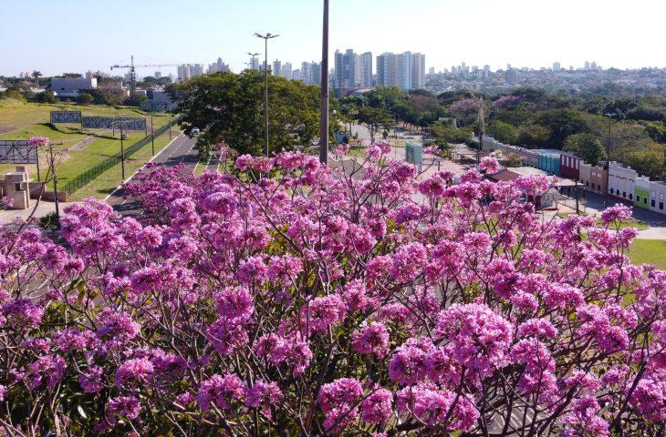 Mato Grosso do Sul lança planos estratégicos de turismo para Campo Grande dos Ipês e Vale das Águas.