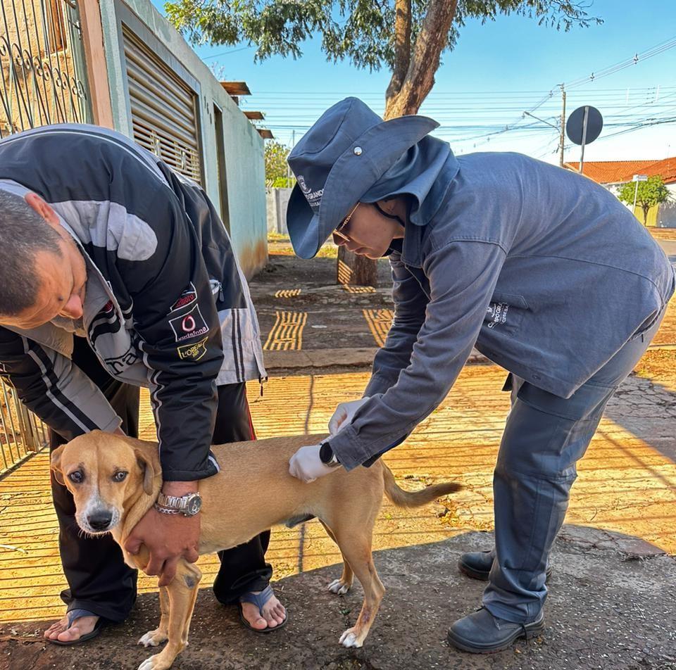 Campanha de vacinação contra raiva de cães e gatos segue em novos bairros de Campo Grande.