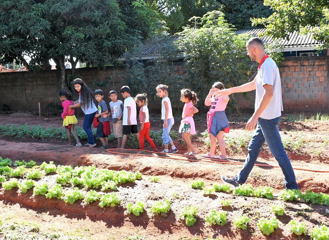 Campo Grande une educação e agricultura para fortalecer a alimentação escolar.