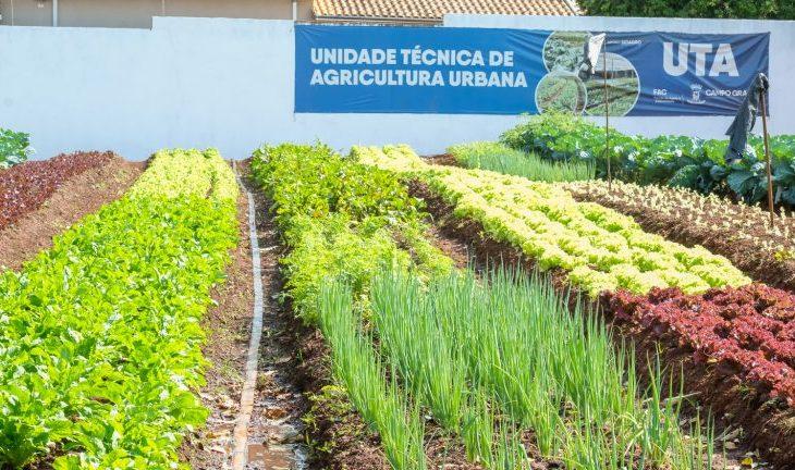 Hortifrutis doados pela Ceasa em MS matam a fome e viram adubo para a comunidade.