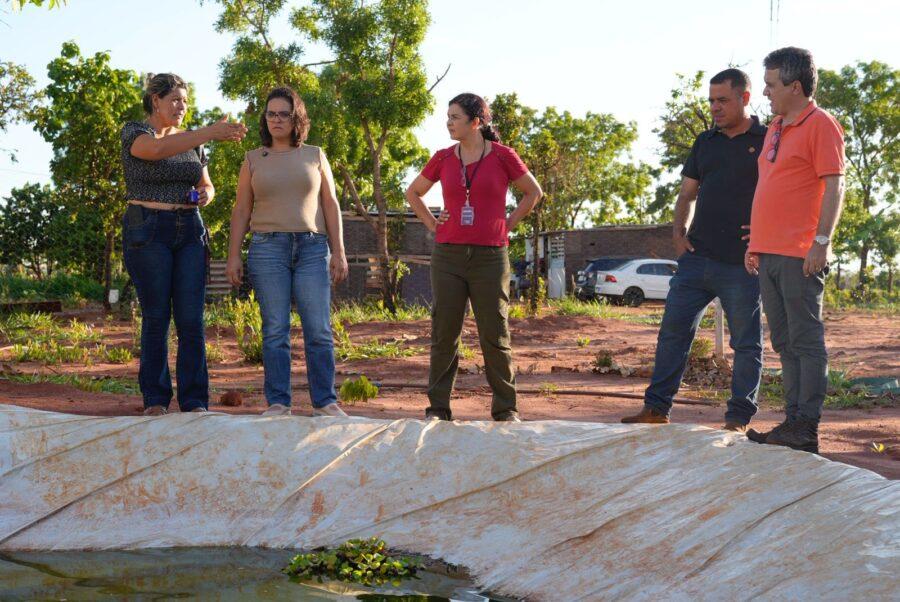 Sem luz e com perdas na produção, famílias da Agrovila Campão Orgânico pedem regularização e dignidade.