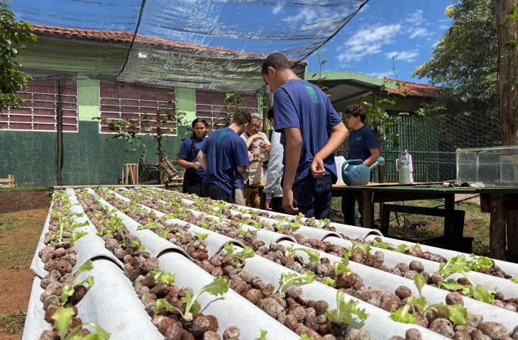 Do ar para a terra: escola estadual de MS transforma água de ar-condicionado em alfaces sustentáveis.