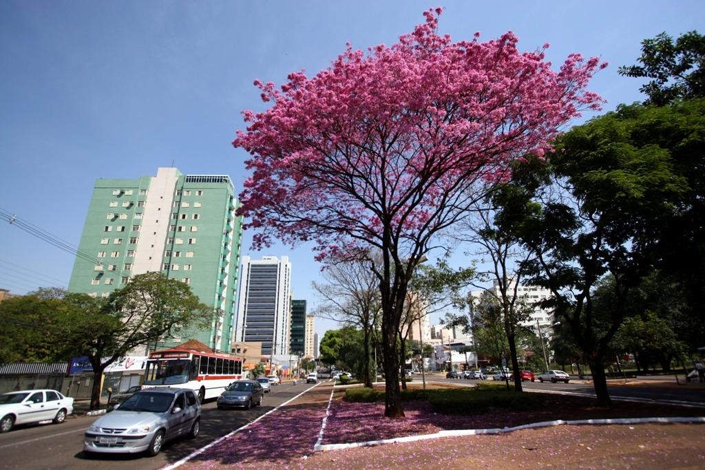 COP15 projeta Campo Grande como hub de turismo e sustentabilidade.