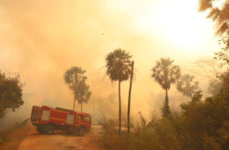 El Niño eleva risco de fogo no Pantanal, e MS assegura resposta estratégica com bases avançadas, aeronaves e tecnologia.
