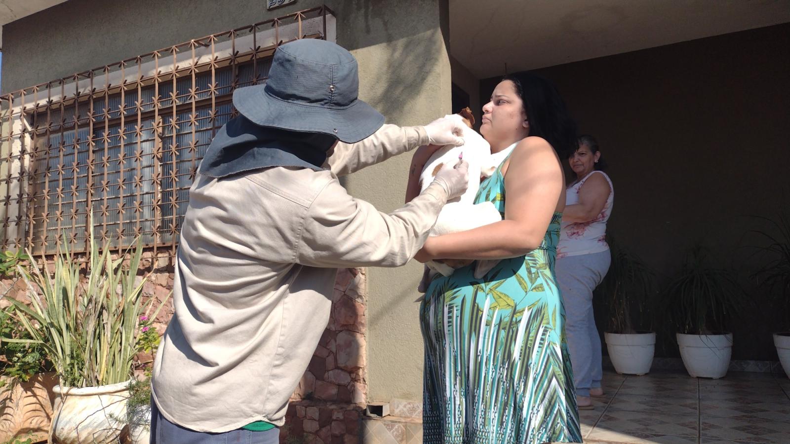 Sesau leva vacinação antirrábica para 4 bairros nesta terça.