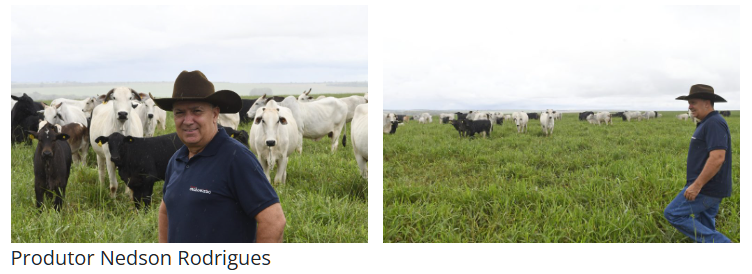 Com maior crescimento do país, agro de MS é fruto de incentivo, modernidade e sucesso do homem do campo.