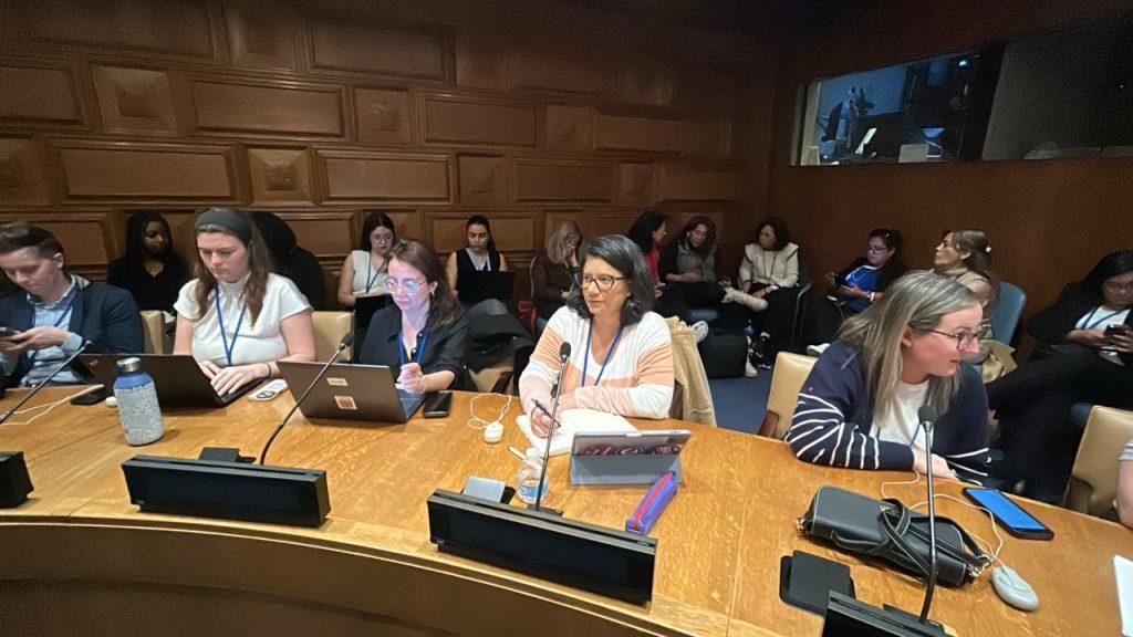 Mato Grosso do Sul leva programa Protege à ONU e debate proteção de mulheres em fórum internacional. Mato Grosso do Sul leva programa Protege à ONU e debate proteção de mulheres em fórum internacional.