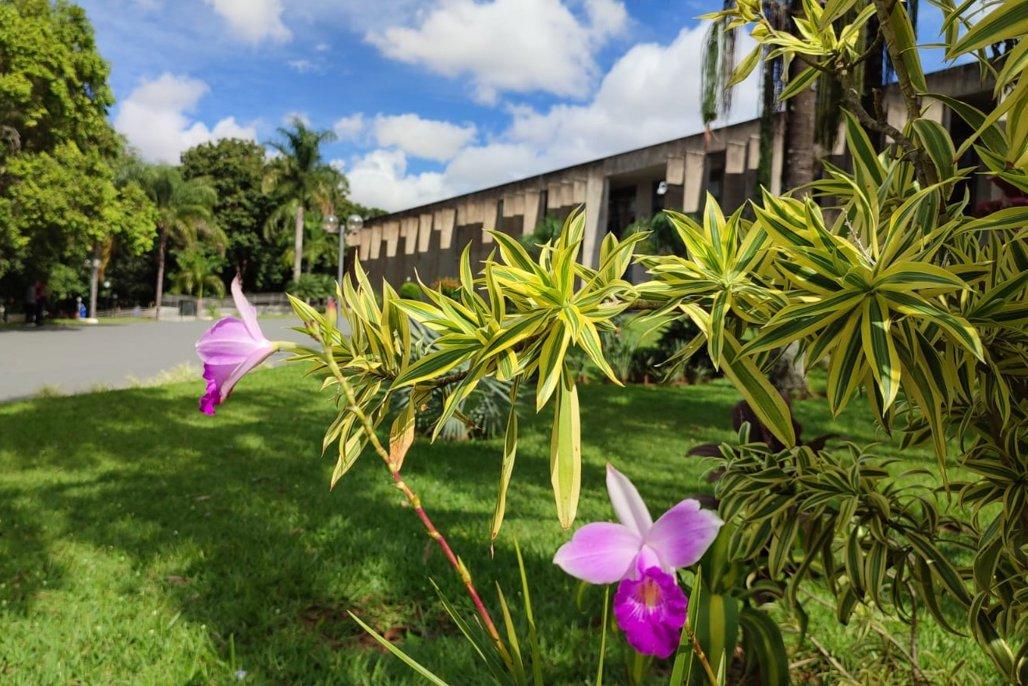 Agenda: VII Seminário Estadual das águas é o destaque da semana.