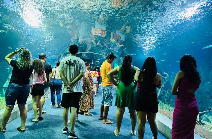 Bioparque Pantanal celebra quatro anos colocando Mato Grosso do Sul em destaque internacional.
