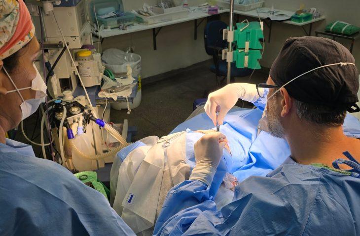 HRMS realiza cerca de 300 procedimentos durante Mutirão da Mulher e amplia acesso à saúde.