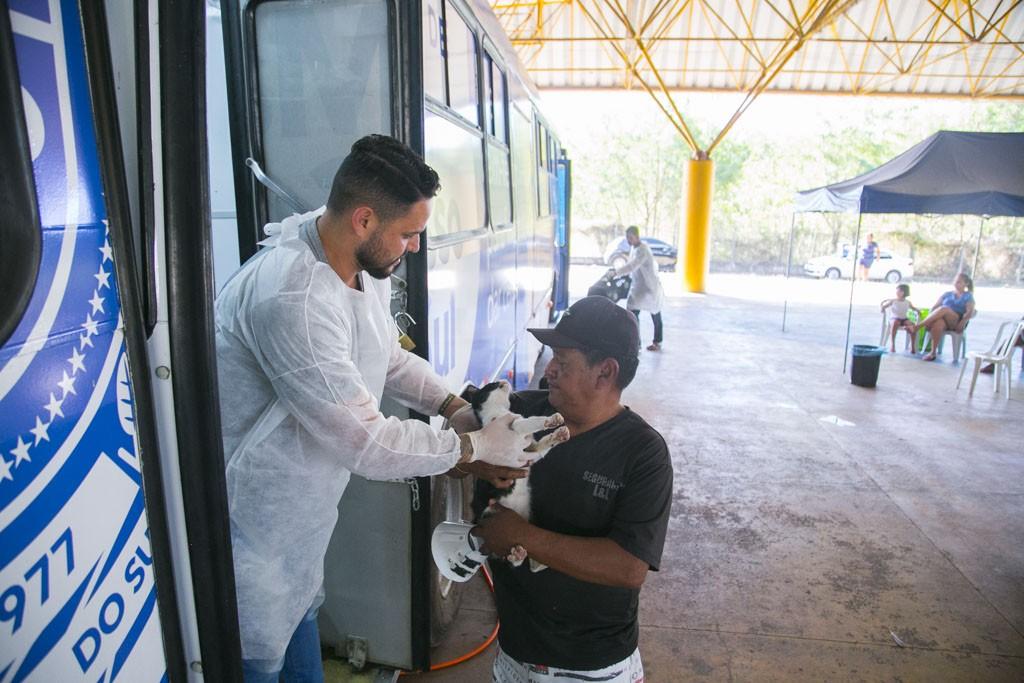 Prefeitura de Campo Grande reforça políticas de bem-estar animal com Caravana da Castração.