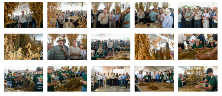 Festa do Pé de Soja Solteiro movimentou Laguna Carapã com tradição, tecnologia e safra em alta. Festa do Pé de Soja Solteiro movimentou Laguna Carapã com tradição, tecnologia e safra em alta.