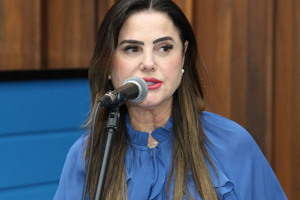 Lei: MS terá Semana de Combate à Exposição Precoce de Crianças nas redes sociais.