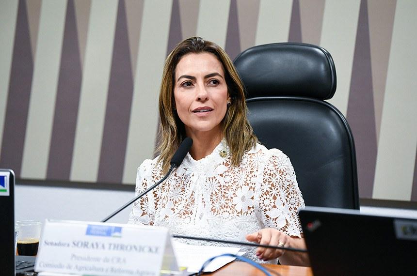 Soraya vota pela derrubada de relatório da CPI do Crime Organizado.