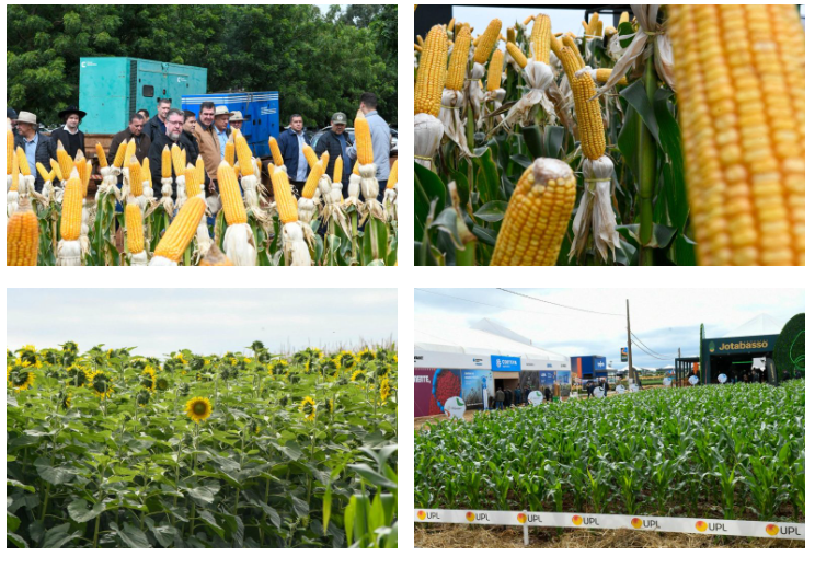 Showtec: MS avança e agro cresce como vitrine de inovação e futuro das cadeias produtivas. Showtec: MS avança e agro cresce como vitrine de inovação e futuro das cadeias produtivas.