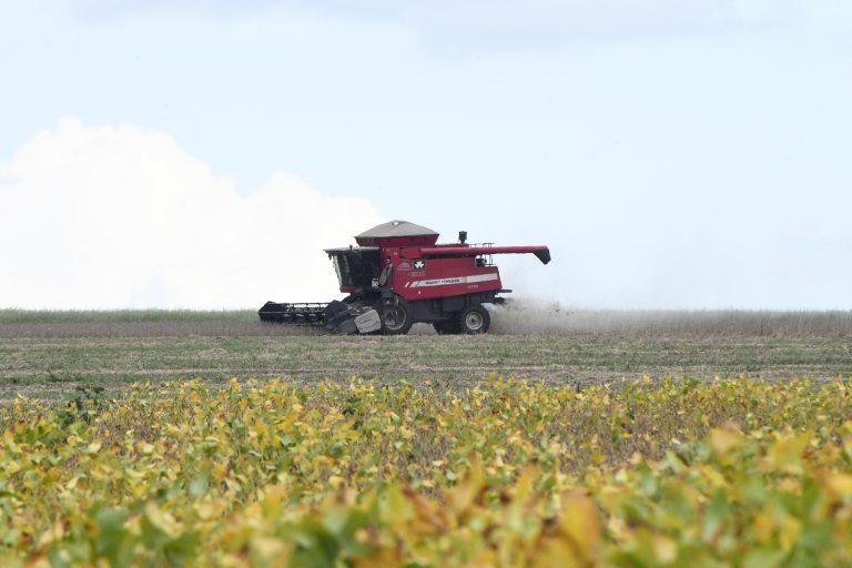 Showtec: MS avança e agro cresce como vitrine de inovação e futuro das cadeias produtivas. Showtec: MS avança e agro cresce como vitrine de inovação e futuro das cadeias produtivas.