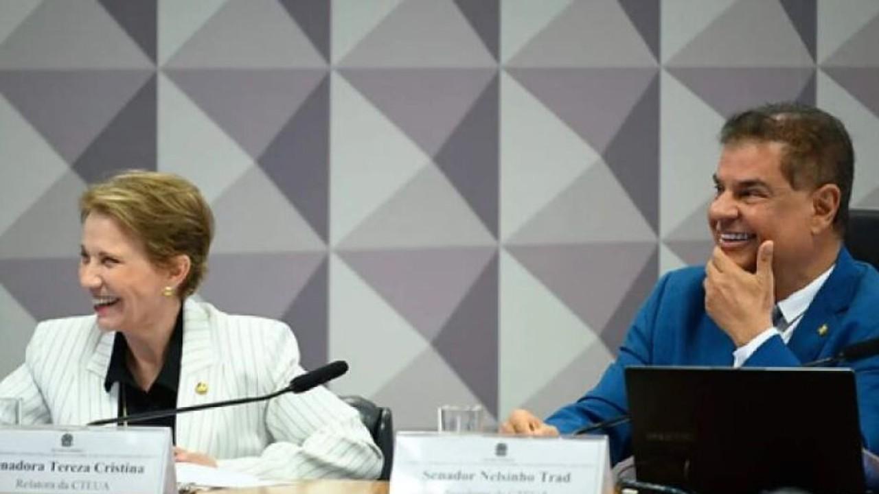 A Senadora Tereza Cristina  e o Senador  Nelsinho Trad abrem mão da CPI do Master para abrandar penas do 8 de Janeiro.