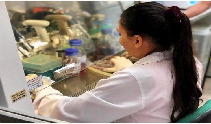 Centelha MS ganha novo prazo para inscrições de ideias inovadoras.
