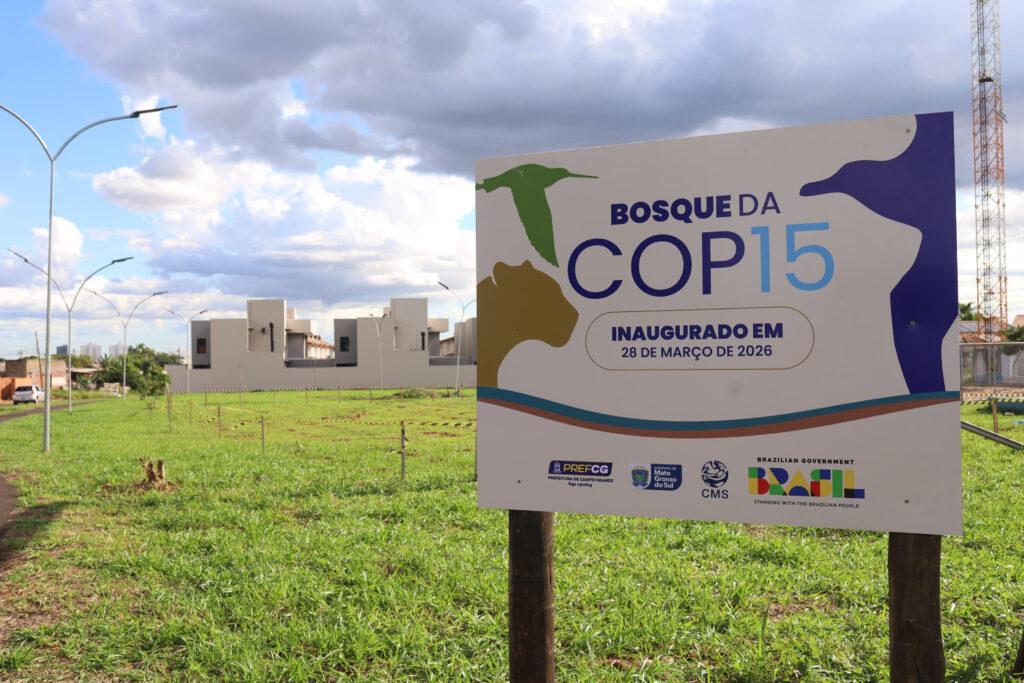 No Dia do Meio Ambiente, veja o que torna Campo Grande referência em sustentabilidade. No Dia do Meio Ambiente, veja o que torna Campo Grande referência em sustentabilidade.