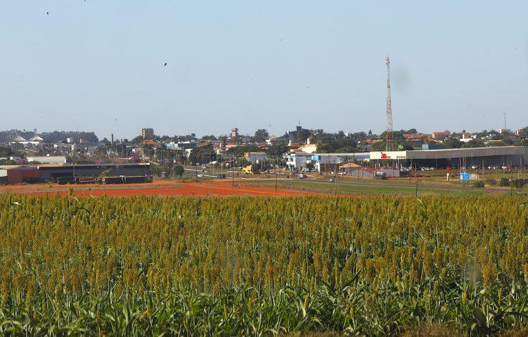 Investimentos em pesquisa ajudam a elevar produtividade e competitividade do agro de Mato Grosso do Sul.