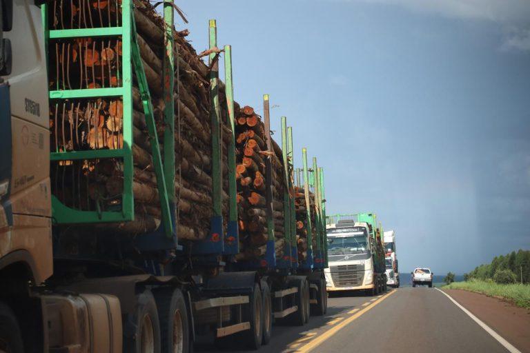 Crescer e distribuir: a nova agenda do desenvolvimento em Mato Grosso do Sul.