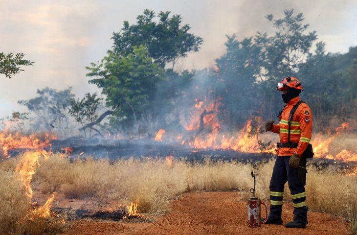Bombeiros de MS se preparam para temporada de incêndios florestais com treinamentos e ações em campo.