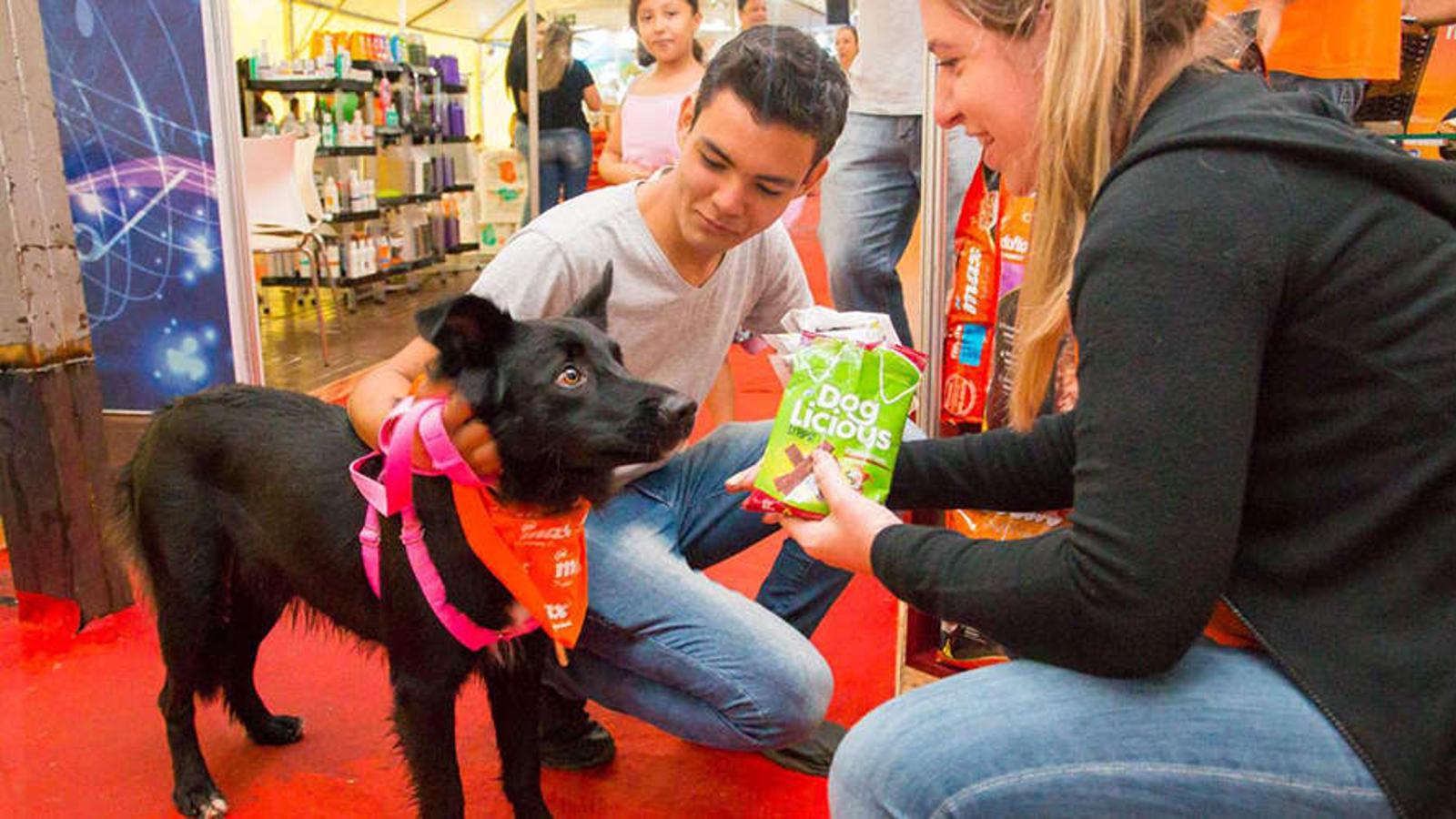 Campo Grande incentiva pesquisa sobre turismo pet.