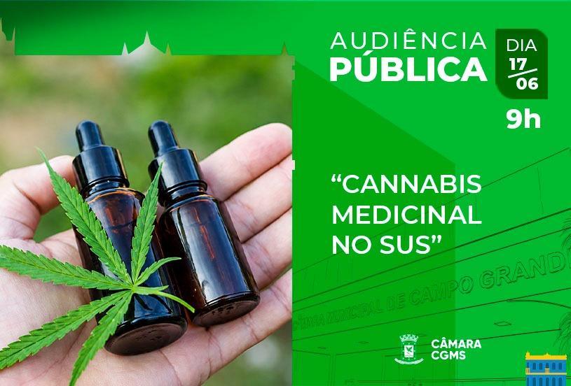 Cannabis Medicinal no SUS será debatida em Audiência Pública na quarta-feira.
