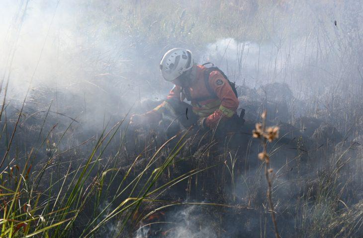 Decreto de emergência ambiental reforça preparação do Governo de MS para enfrentamento a incêndios florestais.